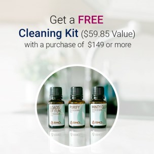 Free cleaning kit